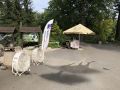 Běh ZOO Ostrava pro Lemury