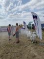 Holba Rock na grilu 2019