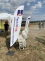 Holba Rock na grilu 2019