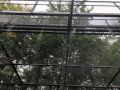 Rosení v ptačí voliéře
