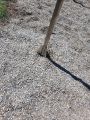 Ochlazovací zóna u dětského hradu ZOO Ostrava